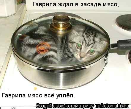 Котоматрица: Гаврила ждал в засаде мясо, Гаврила мясо всё уплёл.