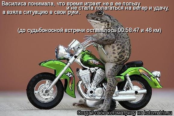 Василиса понимала, что время играет не в ее пользу и не стала полагаться на ветер и удачу, а взяла си... Котоматрица: Василиса понимала, что время играет не в ее пользу и не стала полагаться на ветер и удачу, а взяла ситуацию в свои руки. (до судьбоносной встр