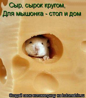 Сыр, сырок кругом, Для мышонка - стол и дом... Котоматрица: Сыр, сырок кругом, Для мышонка - стол и дом
