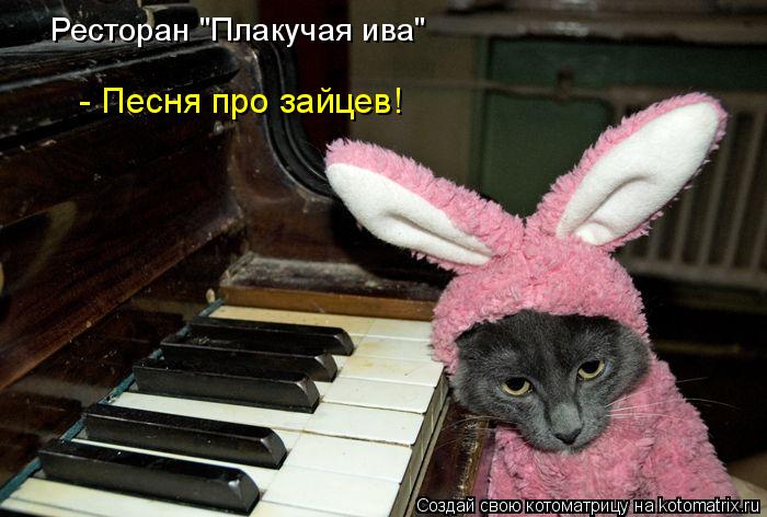 Котоматрица: Ресторан "Плакучая ива"  - Песня про зайцев!
