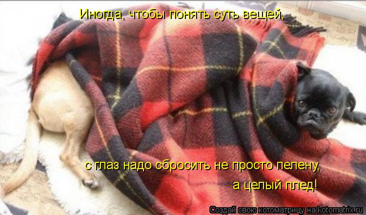 Иногда, чтобы понять суть вещей, с глаз надо сбросить не просто пелену, а целый плед!... Котоматрица: Иногда, чтобы понять суть вещей, с глаз надо сбросить не просто пелену, а целый плед!