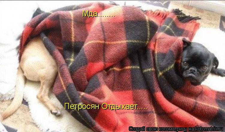 Котоматрица: Мда........ Петросян Отдыхает.....