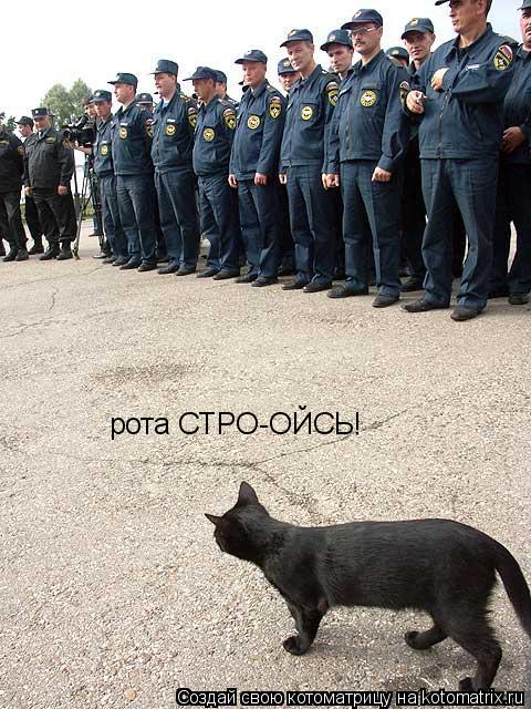 рота СТРО-ОЙСЬ!... Котоматрица: рота СТРО-ОЙСЬ!