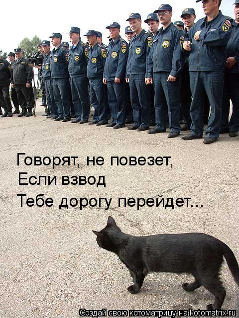 Говорят, не повезет, Если взвод Тебе дорогу перейдет...... Котоматрица: Говорят, не повезет, Если взвод Тебе дорогу перейдет...