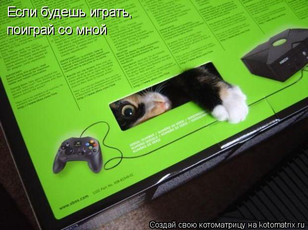 Если будешь играть, поиграй со мной... Котоматрица: Если будешь играть, поиграй со мной