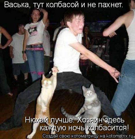 каждую ночь колбасится! Нюхай лучше. Хозяин здесь Васька, тут колбасой и не пахнет.... Котоматрица: каждую ночь колбасится! Нюхай лучше. Хозяин здесь Васька, тут колбасой и не пахнет.