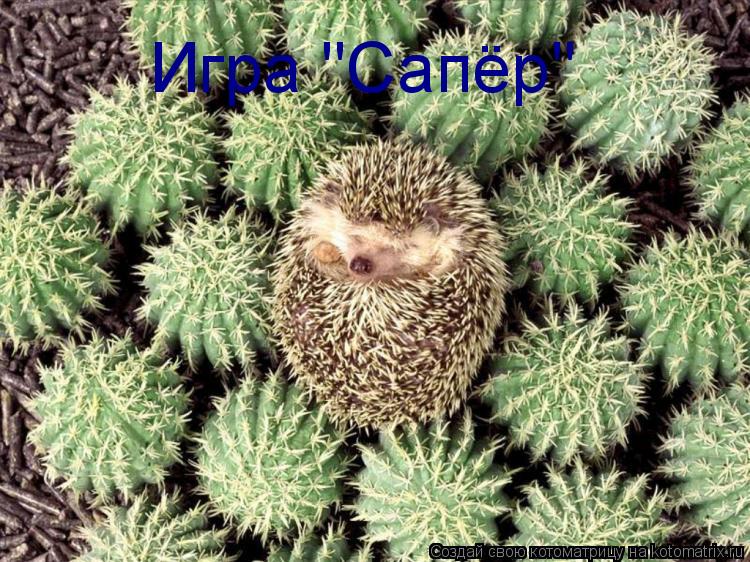 Игра "Сапёр"... Котоматрица: Игра "Сапёр"