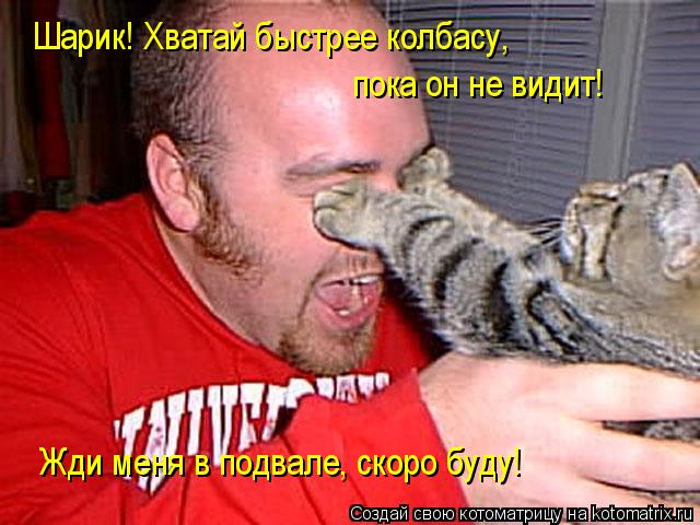 Шарик! Хватай быстрее колбасу, пока он не видит! Жди меня в подвале, скоро буду!... Котоматрица: Шарик! Хватай быстрее колбасу, пока он не видит! Жди меня в подвале, скоро буду!