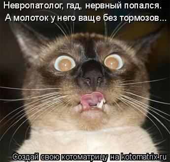 Невропатолог, гад, нервный попался. А молоток у него ваще без тормозов...... Котоматрица: Невропатолог, гад, нервный попался. А молоток у него ваще без тормозов...