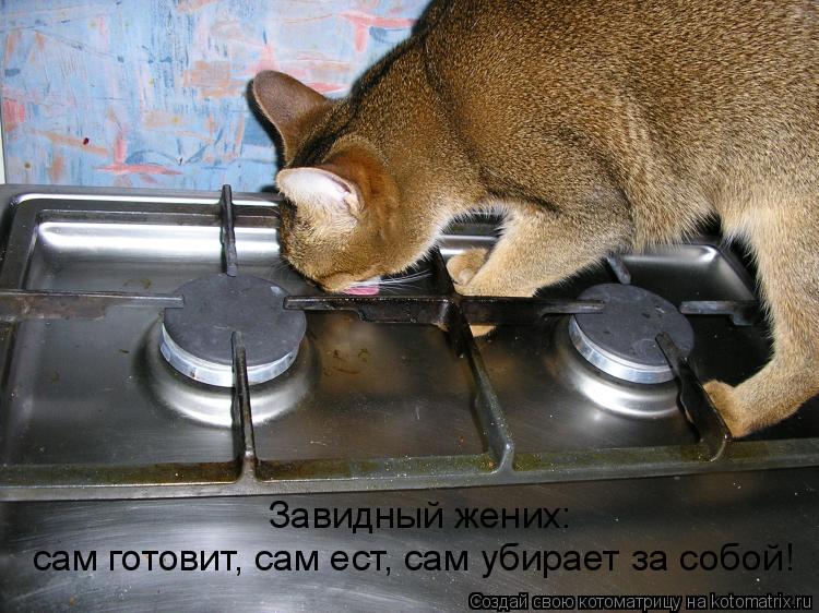 сам готовит, сам ест, сам убирает за собой! Завидный жених:... Котоматрица: сам готовит, сам ест, сам убирает за собой! Завидный жених: