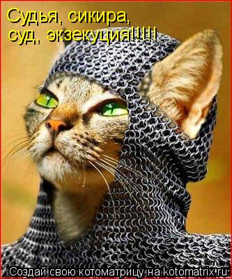 суд, экзекуция!!!!! Судья, сикира,... Котоматрица: суд, экзекуция!!!!! Судья, сикира,