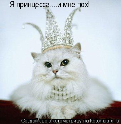 Котоматрица: -Я принцесса....и мне пох!