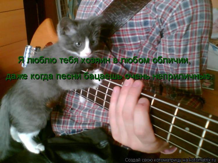 Я люблю тебя хозяин в любом обличии, даже когда песни бацаешь очень неприличные.... Котоматрица: Я люблю тебя хозяин в любом обличии, даже когда песни бацаешь очень неприличные.