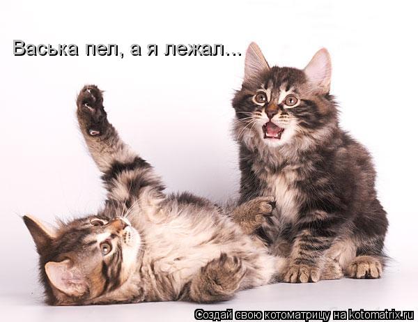 Васька пел, а я лежал...... Котоматрица: Васька пел, а я лежал...