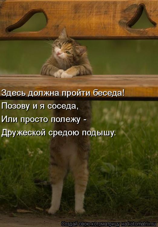Здесь должна пройти беседа! Позову и я соседа, Или просто полежу - Дружеской средою подышу.... Котоматрица: Здесь должна пройти беседа! Позову и я соседа, Или просто полежу - Дружеской средою подышу.