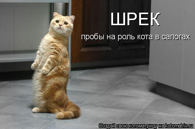 Котоматрица: ШРЕК пробы на роль кота в сапогах