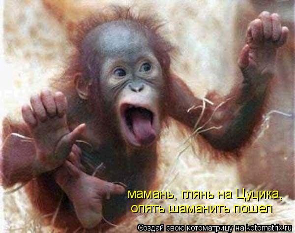 Котоматрица: мамань, глянь на Цуцика,  опять шаманить пошел