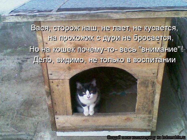 на прохожих с дури не бросается, Дело, видимо, не только в воспитании Вася, сторож наш, не лает, не ... Котоматрица: на прохожих с дури не бросается, Дело, видимо, не только в воспитании Вася, сторож наш, не лает, не кусается, Но на кошек почему-то- весь "внима