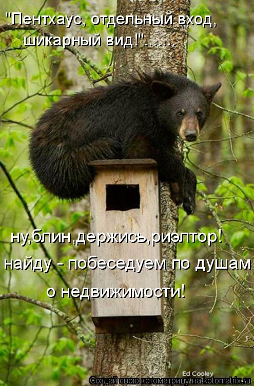 "Пентхаус, отдельный вход, шикарный вид!"....... ну,блин,держись,риэлтор! найду - побеседуем по душам... Котоматрица: "Пентхаус, отдельный вход, шикарный вид!"....... ну,блин,держись,риэлтор! найду - побеседуем по душам о недвижимости!