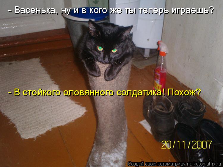 - Васенька, ну и в кого же ты теперь играешь? - В стойкого оловянного солдатика! Похож?... Котоматрица: - Васенька, ну и в кого же ты теперь играешь? - В стойкого оловянного солдатика! Похож?