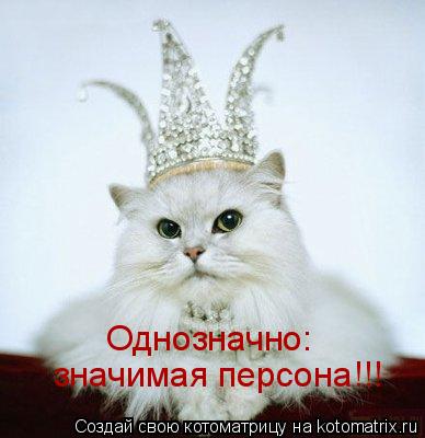 Однозначно: значимая персона!!!... Котоматрица: Однозначно: значимая персона!!!