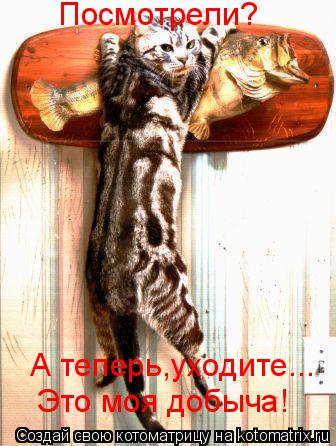Посмотрели? А теперь,уходите... Это моя добыча!... Котоматрица: Посмотрели? А теперь,уходите... Это моя добыча!