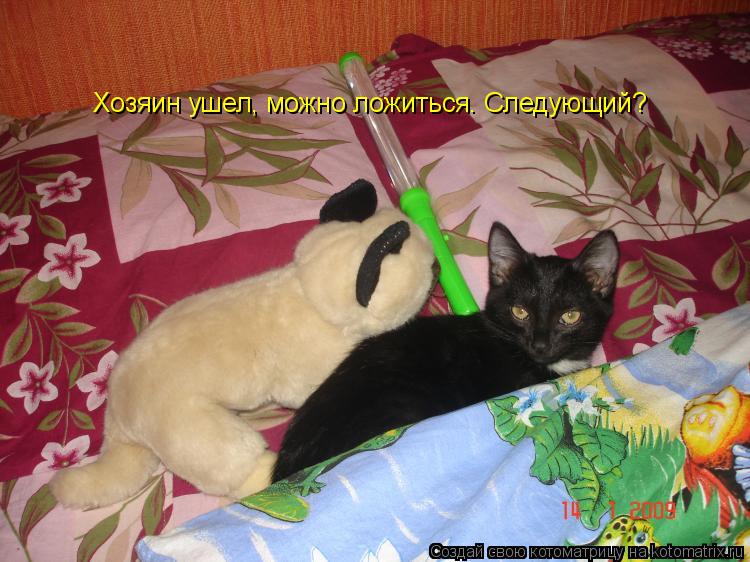 Котоматрица: Хозяин ушел, можно ложиться. Следующий?