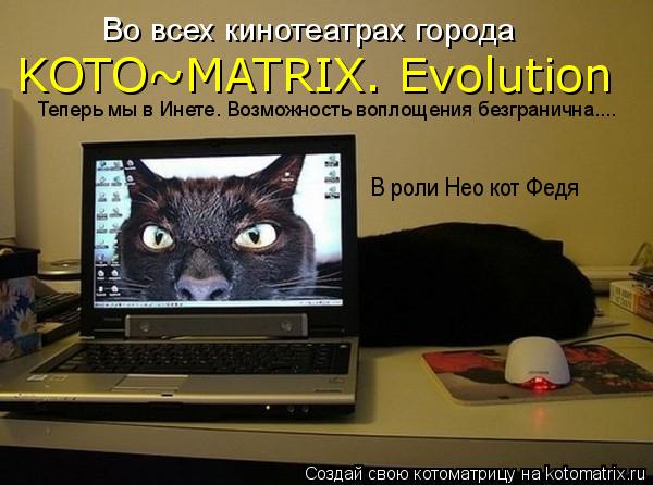 Котоматрица: Во всех кинотеатрах города KOTO~MATRIX. Evolution В роли Нео кот Федя Теперь мы в Инете. Возможность воплощения безгранична....