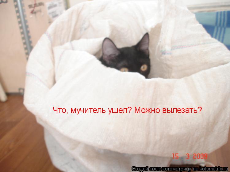 Котоматрица: Что, мучитель ушел? Можно вылезать?