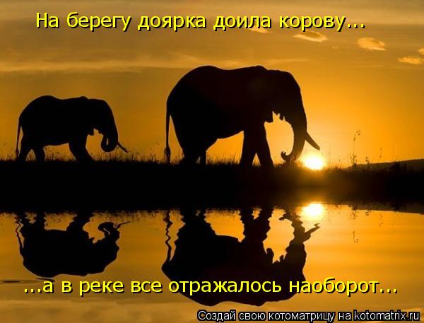 Котоматрица: На берегу доярка доила корову... ...а в реке все отражалось наоборот...