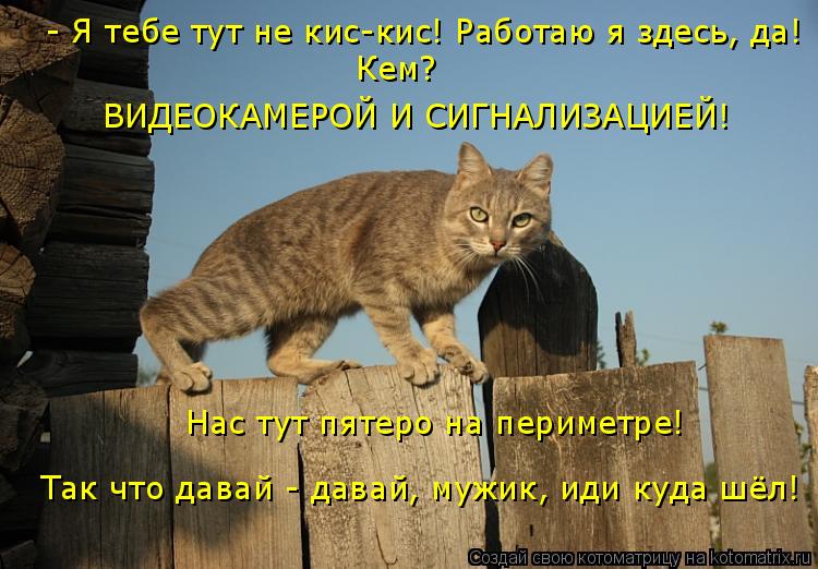 - Я тебе тут не кис-кис! Работаю я здесь, да! Кем? ВИДЕОКАМЕРОЙ И СИГНАЛИЗАЦИЕЙ! Нас тут пятеро на... Котоматрица: - Я тебе тут не кис-кис! Работаю я здесь, да! Кем? ВИДЕОКАМЕРОЙ И СИГНАЛИЗАЦИЕЙ! Нас тут пятеро на периметре! Так что давай - давай, мужик, иди