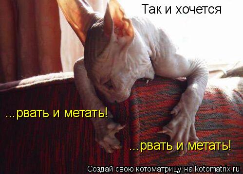 http://kotomatrix.ru/images/lolz/2009/07/07/317130.jpg