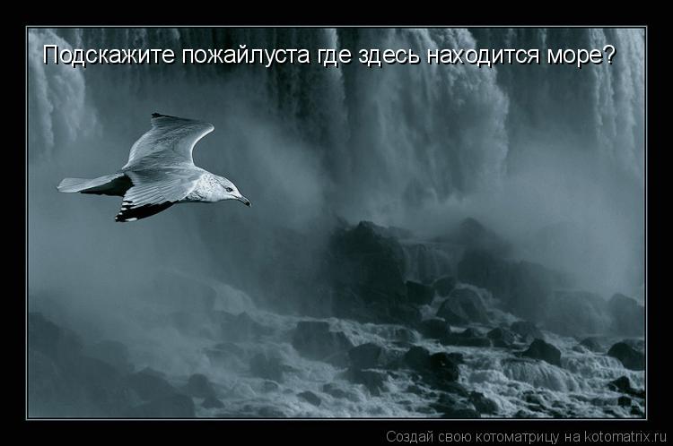 Подскажите пожайлуста где здесь находится море?... Котоматрица: Подскажите пожайлуста где здесь находится море?