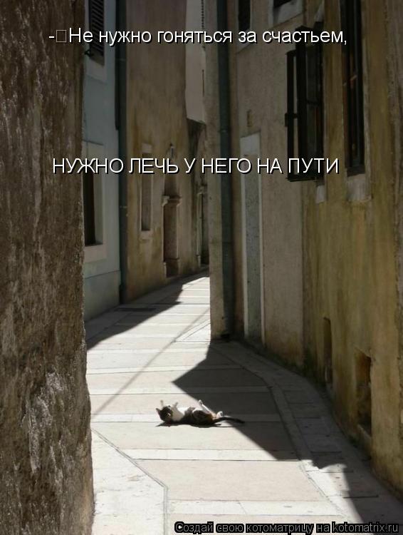 - Не нужно гоняться за счастьем, НУЖНО ЛЕЧЬ У НЕГО НА ПУТИ... Котоматрица: - Не нужно гоняться за счастьем, НУЖНО ЛЕЧЬ У НЕГО НА ПУТИ
