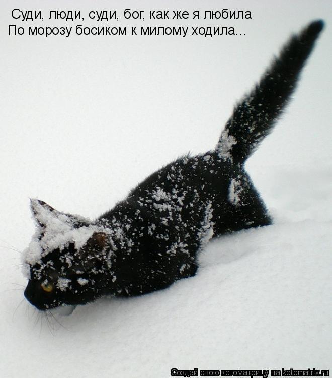 Cуди, люди, суди, бог, как же я любила По морозу босиком к милому ходила...... Котоматрица: Cуди, люди, суди, бог, как же я любила По морозу босиком к милому ходила...