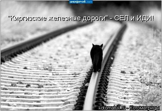"Киргизские железные дороги" - СЕЛ и ИДИ!... Котоматрица: "Киргизские железные дороги" - СЕЛ и ИДИ!