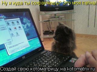 Котоматрица: Ну и куда ты сохраняешь? Это моя папка!
