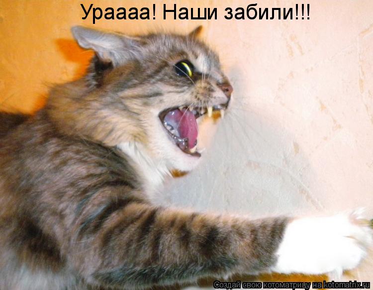 Котоматрица: Ураааа! Наши забили!!!