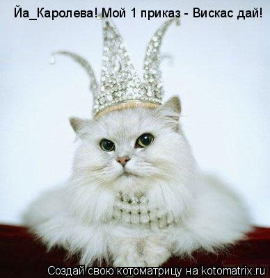 Котоматрица: Йа_Каролева! Мой 1 приказ - Вискас дай!