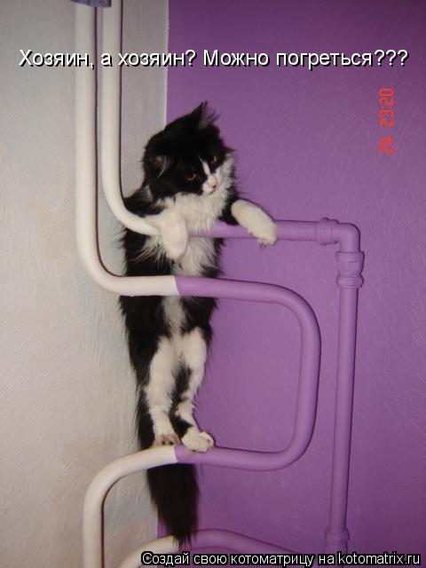 Котоматрица: Хозяин, а хозяин? Можно погреться???