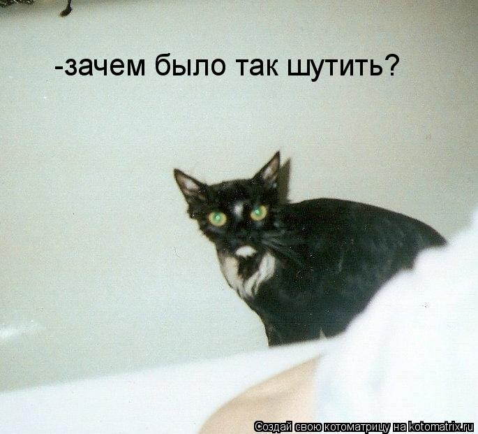 Котоматрица: -зачем было так шутить?