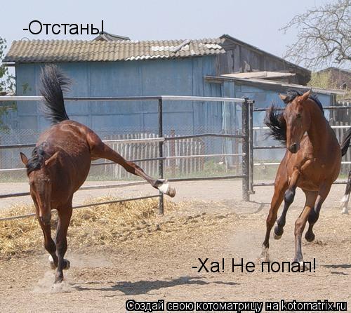 Котоматрица: -Отстань! -Ха! Не попал!