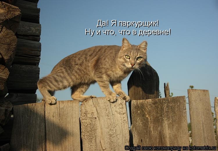 Котоматрица: Да! Я паркурщик! Ну и что, что в деревне!