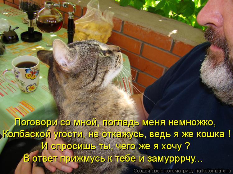 Котоматрица: Поговори со мной, погладь меня немножко, Колбаской угости, не откажусь, ведь я же кошка ! И спросишь ты, чего же я хочу ? В ответ прижмусь к теб