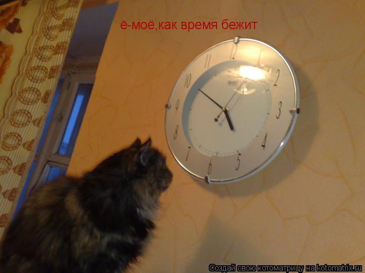 ё-моё,как время бежит... Котоматрица: ё-моё,как время бежит