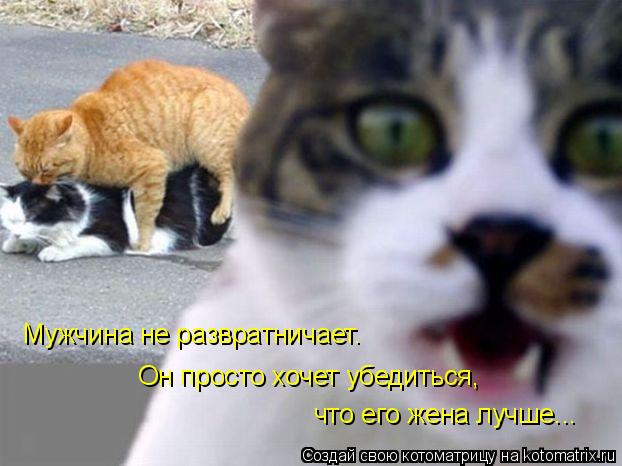 Мужчина не развратничает. Он просто хочет убедиться, что его жена лучше...... Котоматрица: Мужчина не развратничает. Он просто хочет убедиться, что его жена лучше...