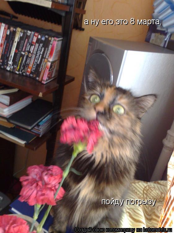 а ну его,это 8 марта, пойду погрызу... Котоматрица: а ну его,это 8 марта, пойду погрызу