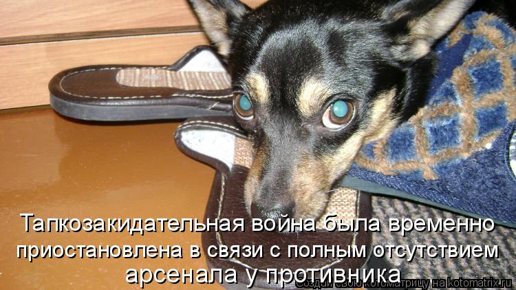 Тапкозакидательная война была временно приостановлена в связи с полным отсутствием арсенала у проти... Котоматрица: Тапкозакидательная война была временно приостановлена в связи с полным отсутствием арсенала у противника