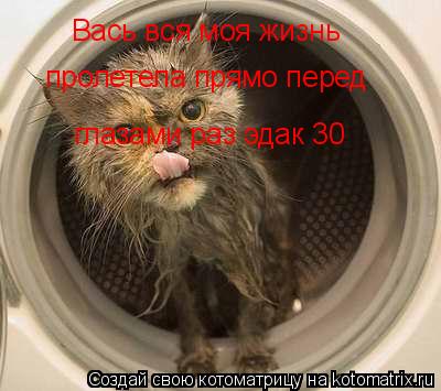 Вась вся моя жизнь пролетела прямо перед глазами раз эдак 30... Котоматрица: Вась вся моя жизнь пролетела прямо перед глазами раз эдак 30