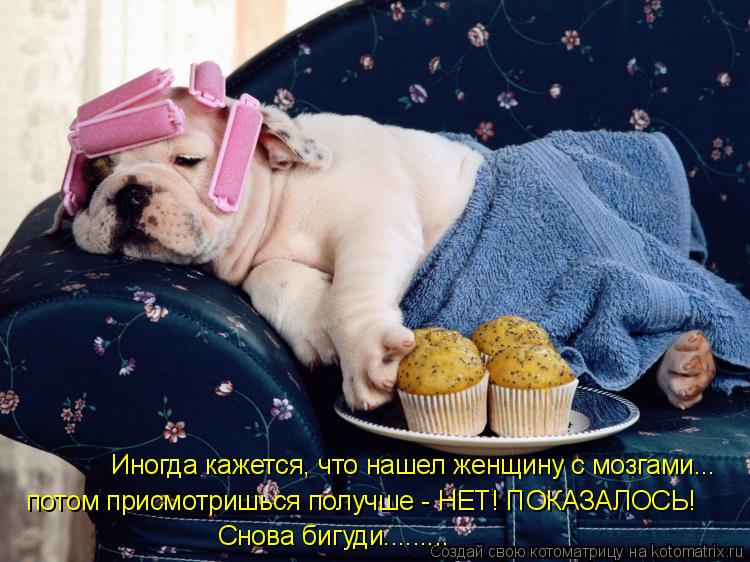 Иногда кажется, что нашел женщину с мозгами... потом присмотришься получше - НЕТ! ПОКАЗАЛОСЬ! Снова б... Котоматрица: Иногда кажется, что нашел женщину с мозгами... потом присмотришься получше - НЕТ! ПОКАЗАЛОСЬ! Снова бигуди.........